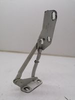 Mercedes-Benz 309 Cerniere del vano motore/cofano 9067500121