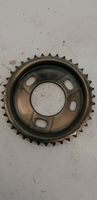 Ford Transit Timing chain sprocket 6C1Q6256AB