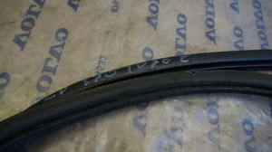 Volvo V70 Rubber seal front door (on door) 