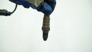 Volvo V40 Sonde lambda 31319385