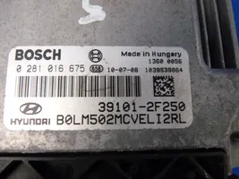 Hyundai ix35 Sterownik / Moduł ECU 391012F250