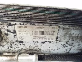 Mercedes-Benz ML W163 Refrigerante del combustible (radiador) A6120700079