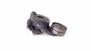 Mercedes-Benz E W211 Napinacz paska wielorowkowego / Alternatora A6422000070