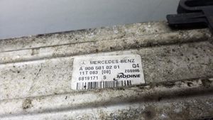 Mercedes-Benz Sprinter W906 Радиатор интеркулера A9065010201