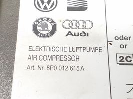 Audi A3 S3 8V Įrankių komplektas 8P0012615A