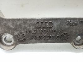 Audi A6 S6 C7 4G Staffa di montaggio del differenziale posteriore/differenziale 8K0599287G