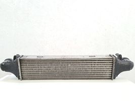 Mercedes-Benz CLS C218 X218 Chłodnica powietrza doładowującego / Intercooler A2045000200