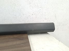 Ford Transit -  Tourneo Connect Sill DT11R10155A