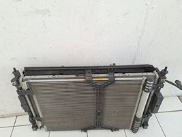 Peugeot 5008 II Set del radiatore 9832930080