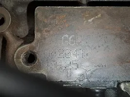 Ford Focus C-MAX Engine D4204T