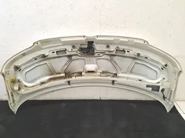 Volkswagen Transporter - Caravelle T5 Engine bonnet/hood 