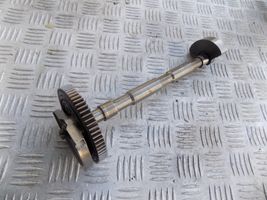 Peugeot 208 Balance shaft 9832753180