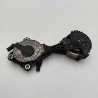 Mini Cooper Countryman R60 Napinacz paska wielorowkowego / Alternatora 7619184