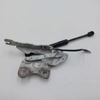 Mini Paceman (R61) Engine bonnet/hood hinges 