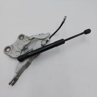 Mini Paceman (R61) Engine bonnet/hood hinges 