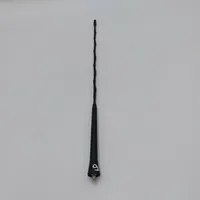 Mini Cooper Countryman R60 Antenna autoradio 