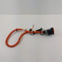 Nissan Leaf II (ZE1) Câble de recharge pour voiture électrique 296B15SHOC