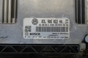 Volkswagen Tiguan Variklio valdymo blokas 03L906022HA