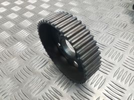 Volkswagen Tiguan Puleggia dell’albero a camme/VANOS 038109111E