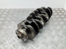 Volkswagen Golf VI Crankshaft 0380