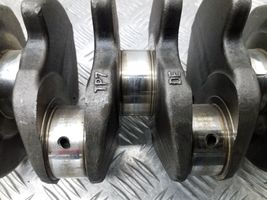 Volkswagen Golf VI Crankshaft 0380