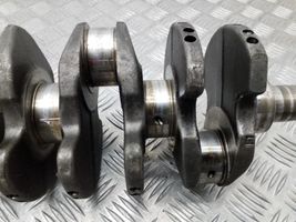 Volkswagen Golf VI Crankshaft 0380