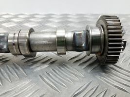 Volkswagen PASSAT B7 Camshaft 03L101B