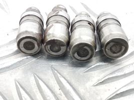 Volkswagen PASSAT B7 Tappets lifter 