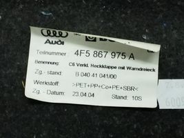 Audi A6 S6 C6 4F Galvenais apdares panelis 4F5867975A