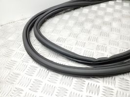 Audi A1 Front door rubber seal 8X3831721A