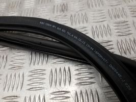 Audi A1 Front door rubber seal 8X3831721A