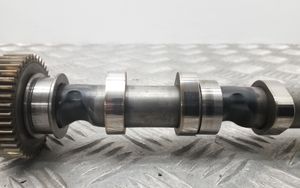 Volkswagen PASSAT B7 Camshaft 03L101B