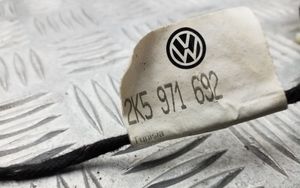 Volkswagen Caddy Wiązka przewodów drzwi bocznych / przesuwnych 2K5971692