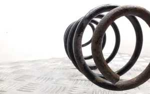 Volkswagen Tiguan Front coil spring 