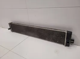 Toyota RAV 4 (XA50) Radiateur de refroidissement 