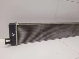 Toyota RAV 4 (XA50) Radiateur de refroidissement 