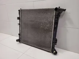 Hyundai Tucson TL Coolant radiator 