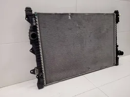 Land Rover Range Rover Evoque L551 Dzesēšanas šķidruma radiators 