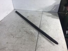 Nissan Almera Tino Rivestimento della portiera anteriore (modanatura) 80870