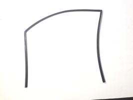 Toyota Avensis T250 Rubber seal front door (on door) 