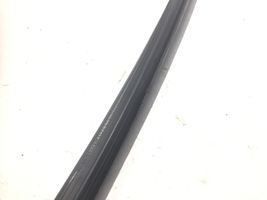 Toyota Avensis T250 Rubber seal rear door window/glass 