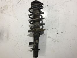 Ford Transit -  Tourneo Connect Front shock absorber with coil spring A0504054