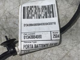 Peugeot Boxer Faisceau de câblage de porte arrière 01343884080