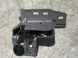 Ford Transit -  Tourneo Connect Blocco/chiusura/serratura del portellone posteriore/bagagliaio DT11V43287AD