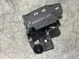 Ford Transit -  Tourneo Connect Blocco/chiusura/serratura del portellone posteriore/bagagliaio DT11V43287AD