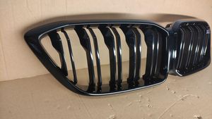 BMW M2 F87 Front bumper upper radiator grill 8073540