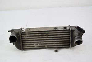 AC 428 Radiatore intercooler 