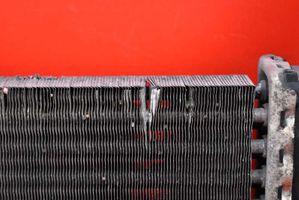 Fiat Punto (199) Radiateur de refroidissement 55700447