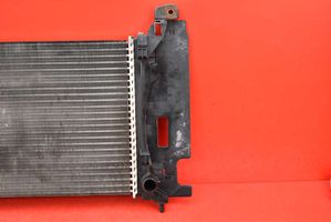 Fiat Punto (199) Radiateur de refroidissement 55700447