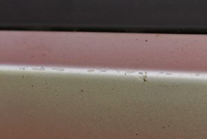 BMW X1 E84 Front sill (body part) 